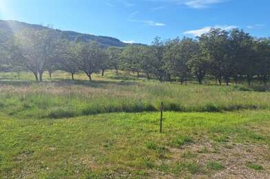 Terrain  29000 €