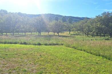 Terrain  29000 €