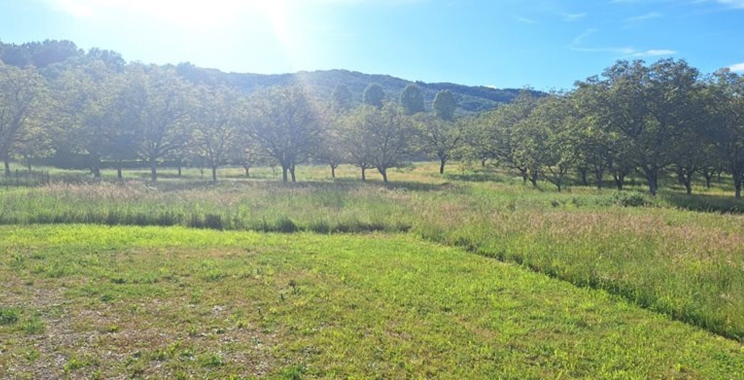 Terrain à bâtir de 0 pièces principales — photo 1
