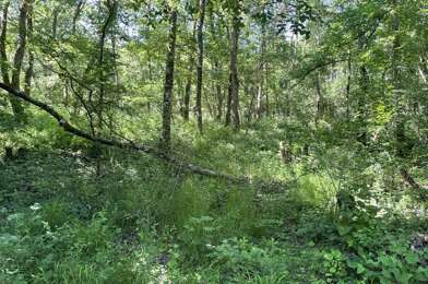 Terrain  35000 €