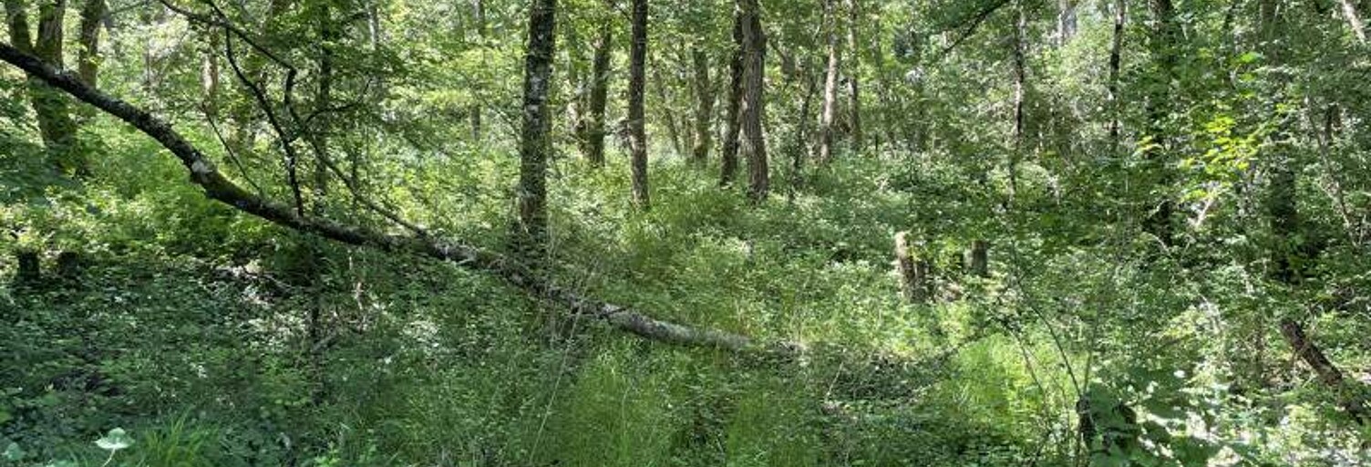 Terrain  10988 m² à vendre à Montrichard Val de Cher (41400)