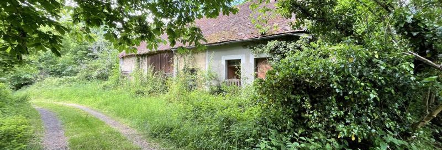 Maison 3 Pièces 38 m² à vendre à Lourdoueix-Saint-Michel (36140)