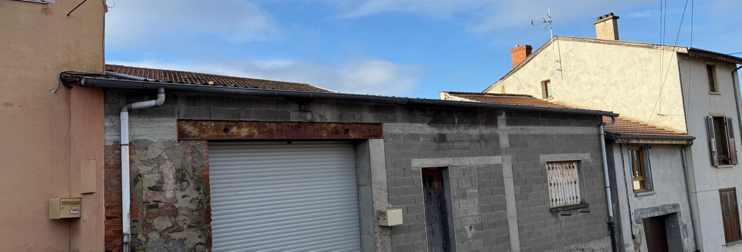 Commerce  300 m² à vendre à Chazelles-sur-Lyon (42140)