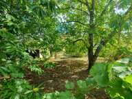 LONGERE 128M2 4 CHAMBRES 1167M2  TERRAIN EN PLEIN CENTRE — photo 3