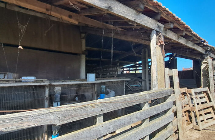 FERMETTE A RÉNOVER AVEC GRANDS BATIMENTS, DÉPENDANCES ET SES 2 HA DE TERRAINS LIBRES — photo 4