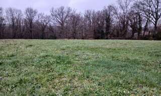 Terrain  4000 m² à vendre à Ribérac (24600)