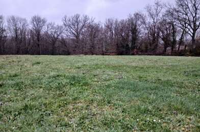 Terrain  40000 €