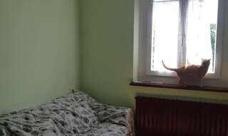 Appartement 1 Pièce 20 m² à louer à Boissy-sous-Saint-Yon (91790)