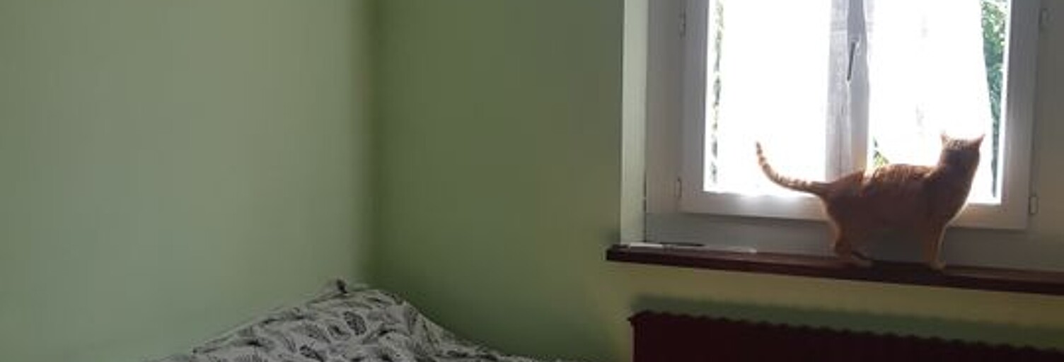 Appartement 1 Pièce 20 m² à louer à Boissy-sous-Saint-Yon (91790)