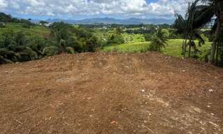 Terrain  1000 m² à vendre à Baie-Mahault (97122)