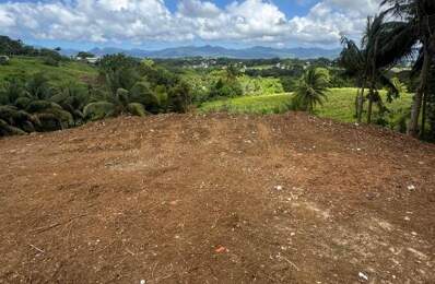 EXCEPTIONNEL – Terrain de 1 000 m² à Baie-Mahault – Vue dégagée — photo du bien