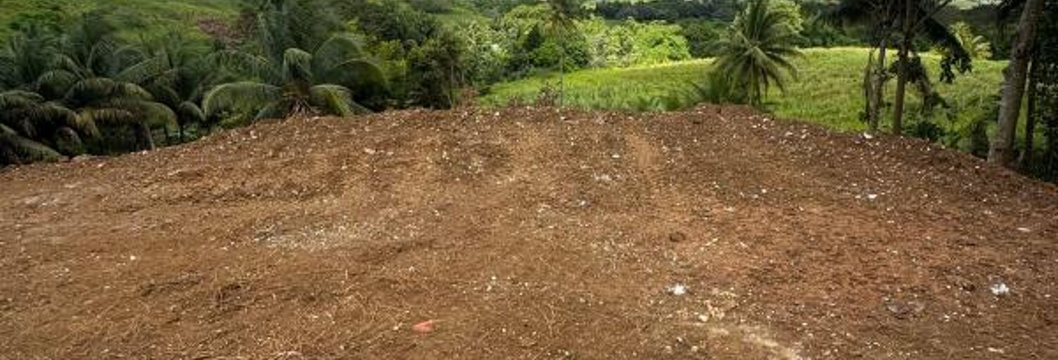 Terrain  1000 m² à vendre à Baie-Mahault (97122)