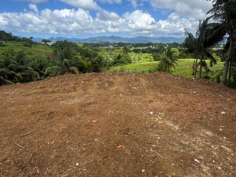 EXCEPTIONNEL – Terrain de 1 000 m² à Baie-Mahault – Vue dégagée — photo 1