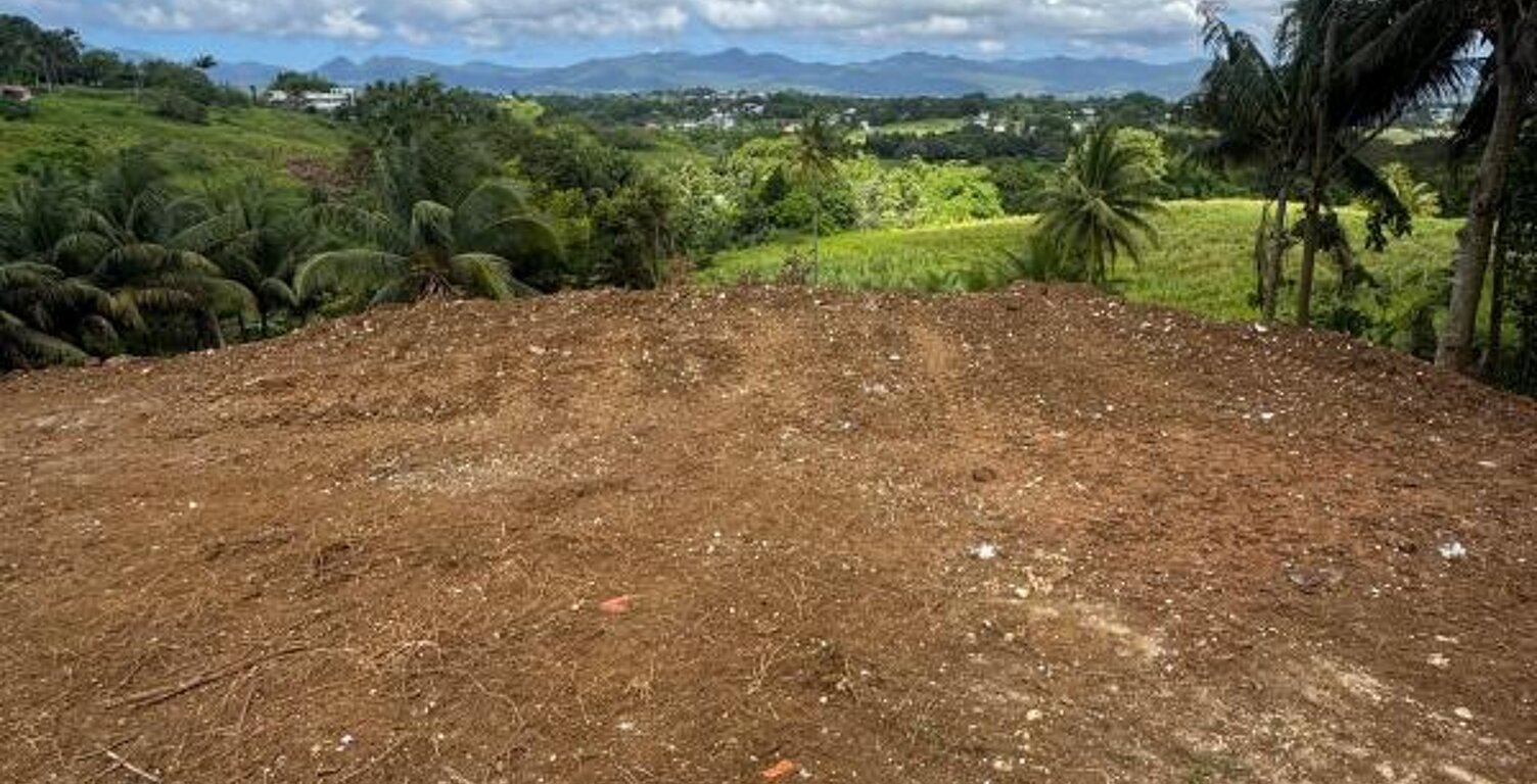 EXCEPTIONNEL – Terrain de 1 000 m² à Baie-Mahault – Vue dégagée — photo 1
