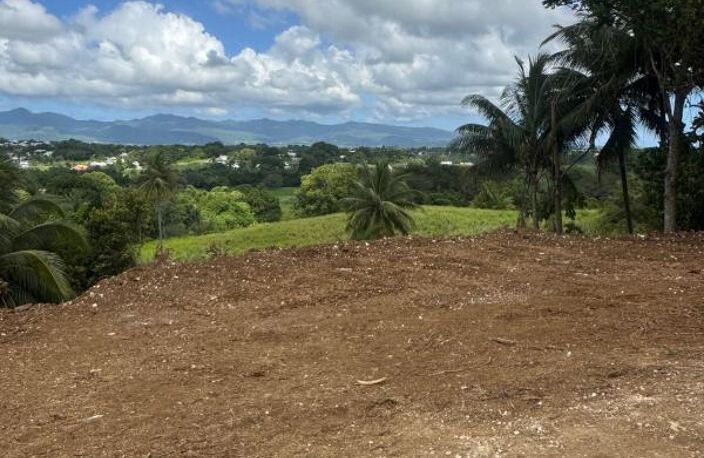 EXCEPTIONNEL – Terrain de 1 000 m² à Baie-Mahault – Vue dégagée — photo 2