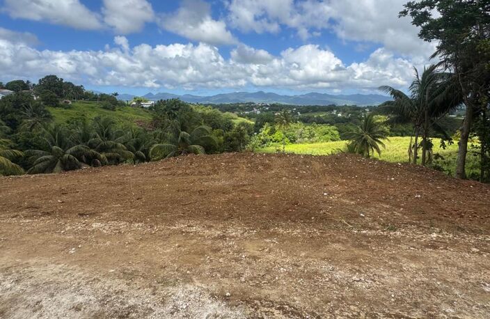 EXCEPTIONNEL – Terrain de 1 000 m² à Baie-Mahault – Vue dégagée — photo 3