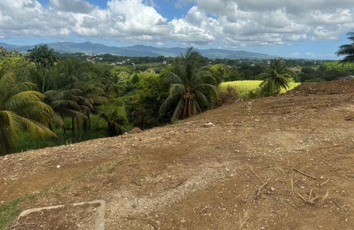 EXCEPTIONNEL – Terrain de 1 000 m² à Baie-Mahault – Vue dégagée — photo 4