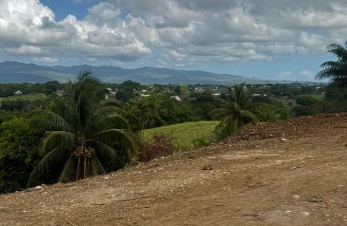 EXCEPTIONNEL – Terrain de 1 000 m² à Baie-Mahault – Vue dégagée — photo 5