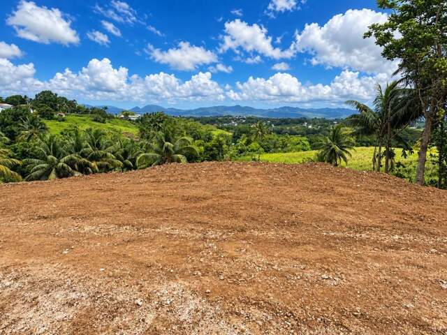 EXCEPTIONNEL – Terrain de 1 000 m² à Baie-Mahault – Vue dégagée — photo du bien