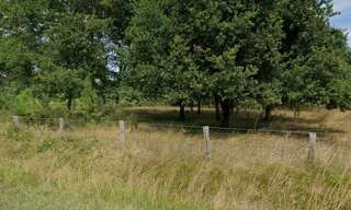 Terrain 600 m² à construire Cestas (33610)