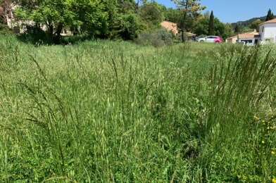 Terrain  120000 €