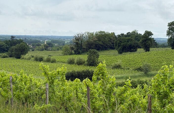DOMAINE D'EXCEPTION SUR LES COTEAUX DE SAINTE CROIX DU MONT : UN FORT POTENTIEL ENTRE CIEL ET VIGNES — photo 3