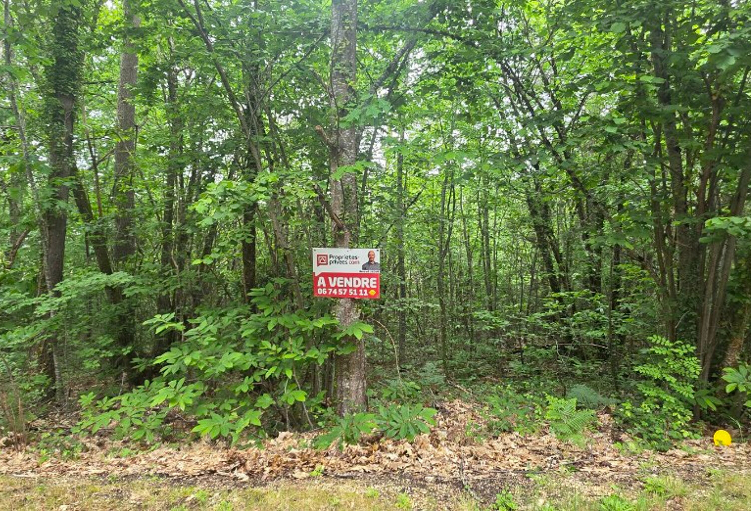 Terrain boisé constructible, d'une surface de 2361 m², CU opérationnel, sur la commune de Boulazac Isle Manoir — photo 1