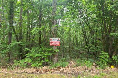 Terrain  49500 €