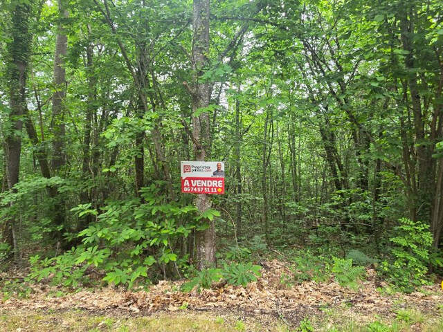 Terrain boisé constructible, d'une surface de 2361 m², CU opérationnel, sur la commune de Boulazac Isle Manoir — photo du bien