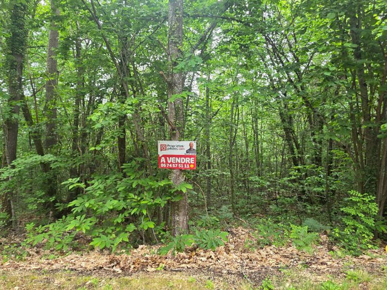 Terrain boisé constructible, d'une surface de 2361 m², CU opérationnel, sur la commune de Boulazac Isle Manoir — photo 1