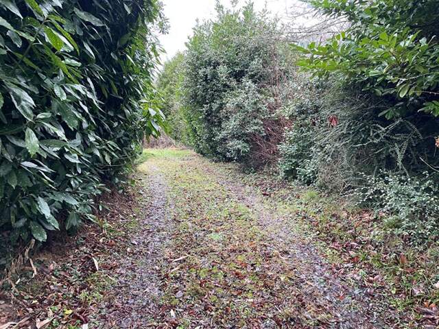 Terrain Villiers Saint Denis — photo du bien