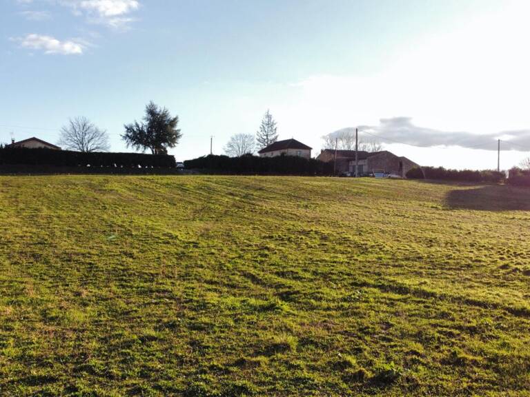 Terrain — photo 1