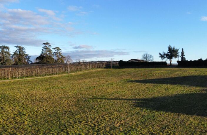 Terrain — photo 2