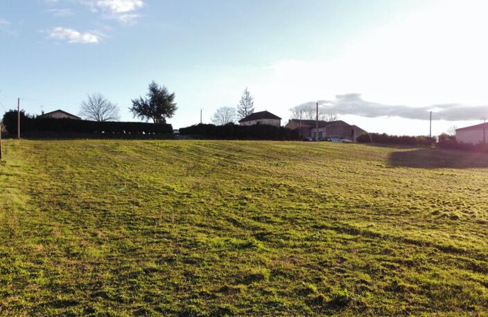 Terrain — photo 2