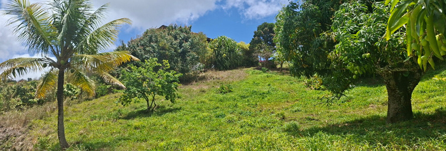 Terrain  566 m² à vendre à Sainte-Luce (97228)