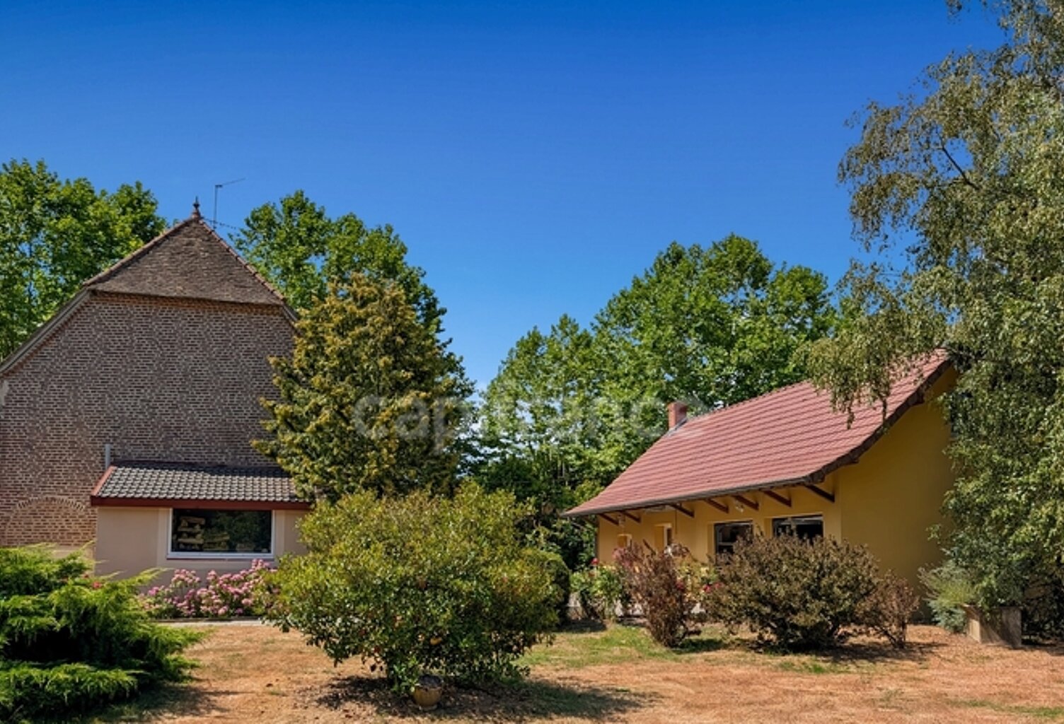 Dpt Saône et Loire (71), à vendre à 15 mn de St Marcel Villa de 163 m² et Maison ou Gite de 95 m² terrain de 4000 m² — photo 1
