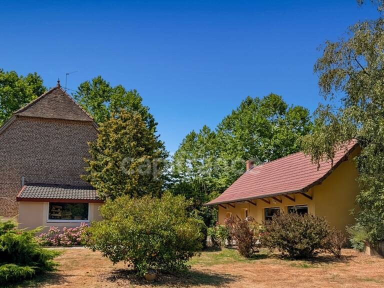 Dpt Saône et Loire (71), à vendre à 15 mn de St Marcel Villa de 163 m² et Maison ou Gite de 95 m² terrain de 4000 m² — photo 1
