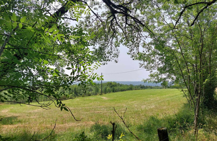 Propriété sur 40 hectares — photo 2