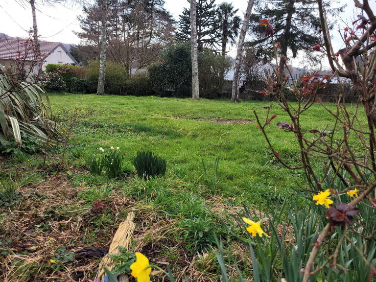 Terrain constructible arboré proche de la gare — photo 1