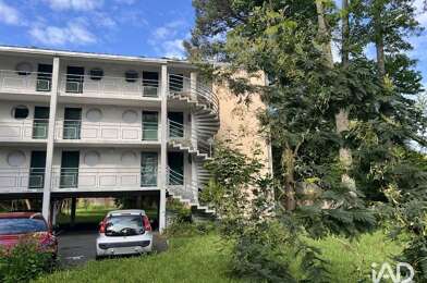 Appartement 1 pièces 517 €