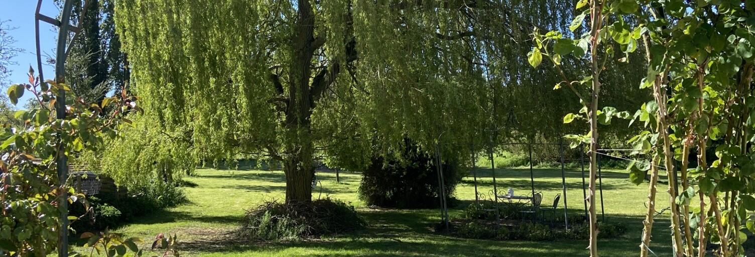 Maison 7 Pièces 155 m² à vendre à Warloy-Baillon (80300)