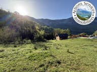 GRAND TERRAIN CONSTRUCTIBLE AVEC FORET — photo 2