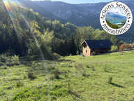 GRAND TERRAIN CONSTRUCTIBLE AVEC FORET — photo 3