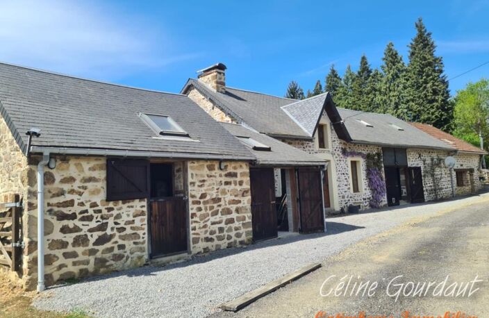 Maison 7 pièces – 200 m² habitables – 113 m² de dépendances – 6 646 m² de terrain — photo 2