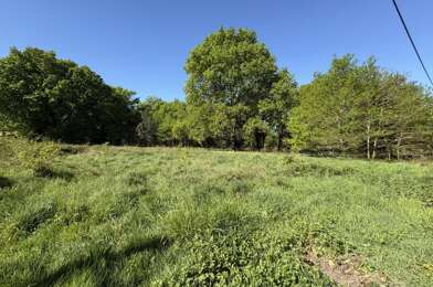 Terrain  142000 €