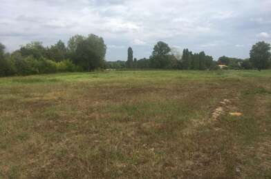 Terrain  55000 €