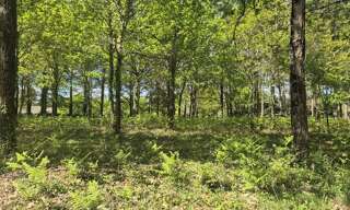 Terrain 578 m² à construire Belin-Béliet (33830)