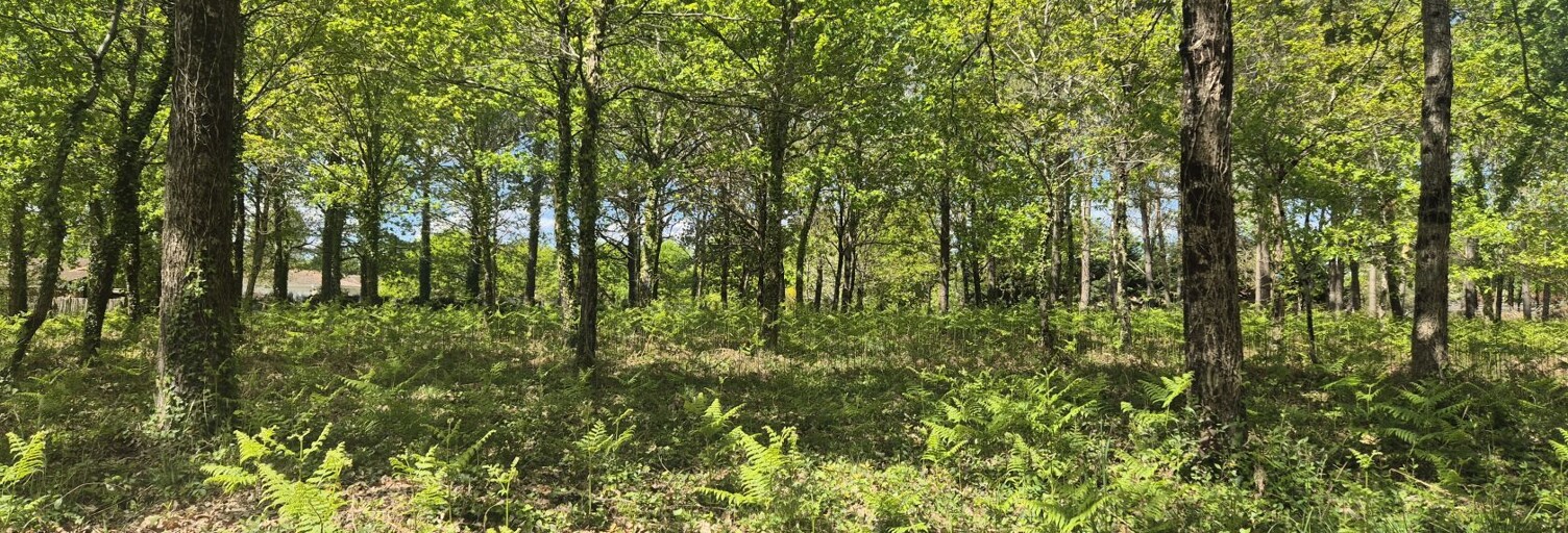 Terrain 578 m² à construire Belin-Béliet (33830)