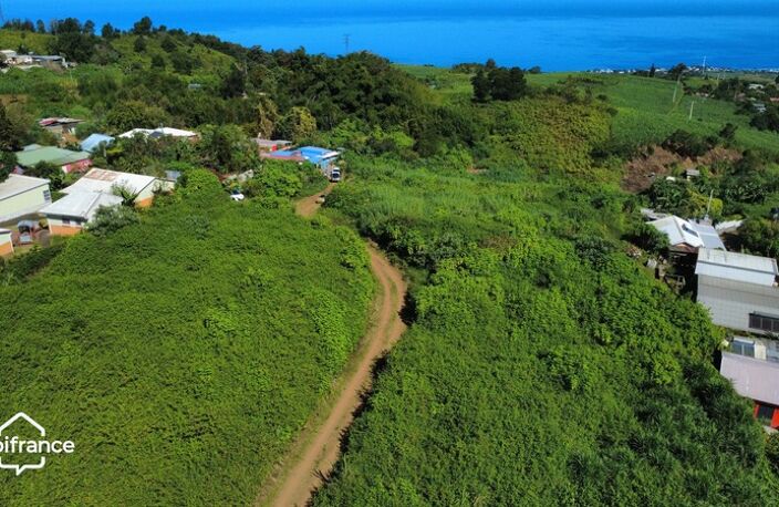 Terrain avec vue mer – La Saline les Hauts : 4 500 m² construtible — photo 2
