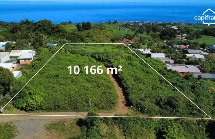 Terrain avec vue mer – La Saline les Hauts : 4 500 m² construtible — photo 4